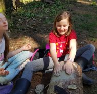 obrazek whatsapp 2024-05-08 v 12.15.17_1cd45cc3